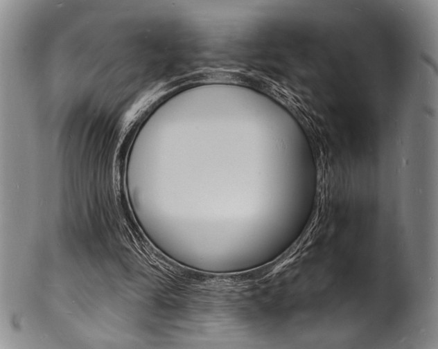 X0000101690294200807101214