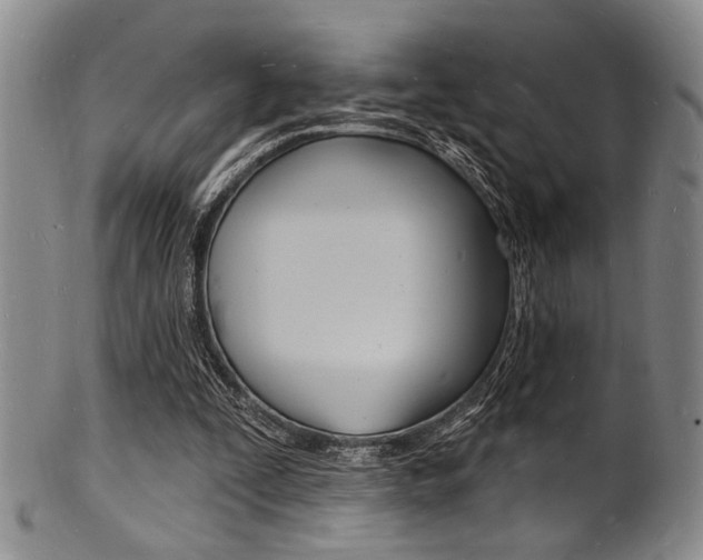 X0000101690295200807101214