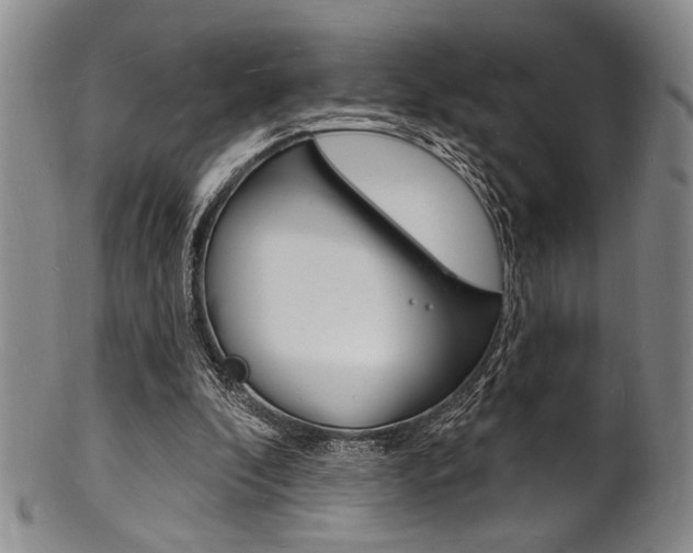 X0000101690296200807101214
