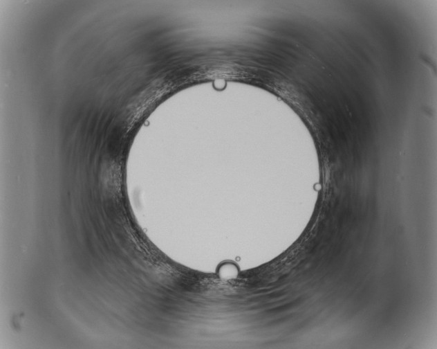 X0000101690297200807101214