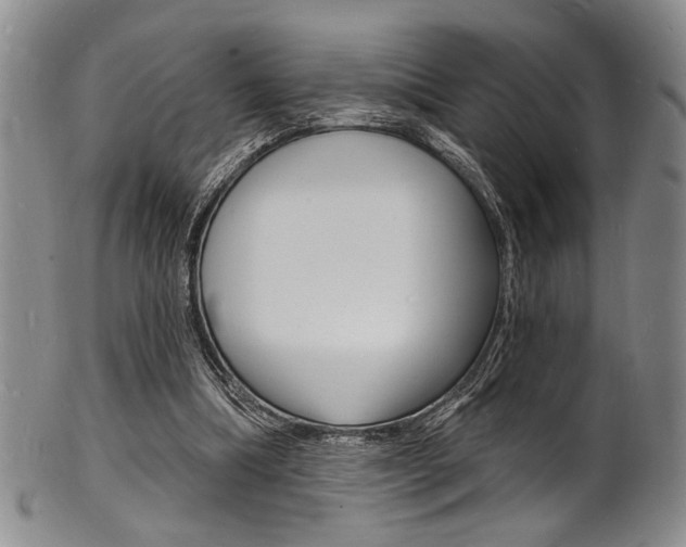 X0000101690298200807101214
