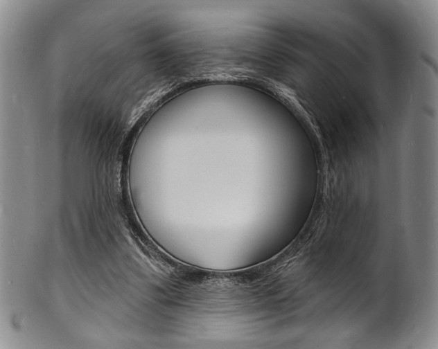 X0000101690299200807101214