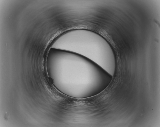 X0000101690300200807101214