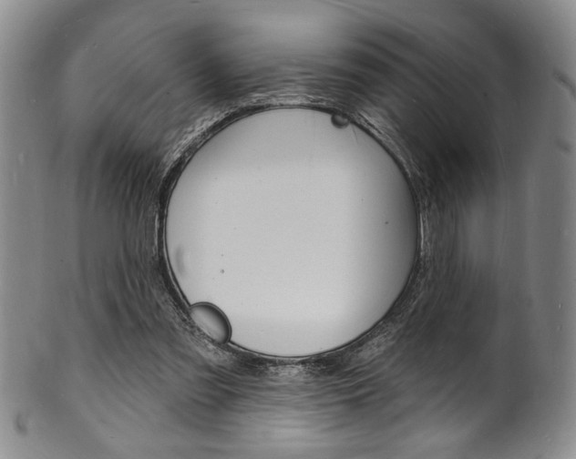 X0000101690301200807101214
