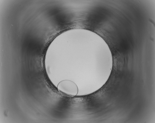X0000101690302200807101214
