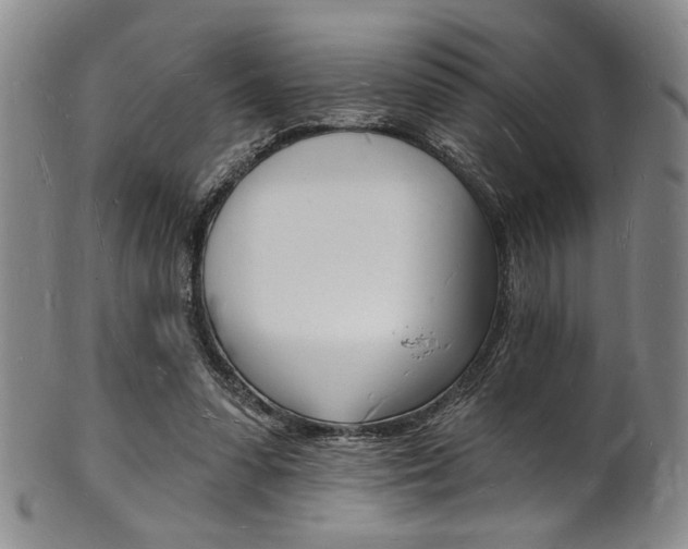 X0000101690303200807101214