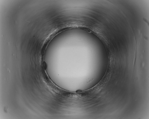 X0000101690304200807101214