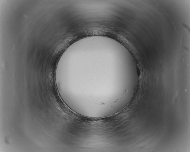 X0000101690306200807101214