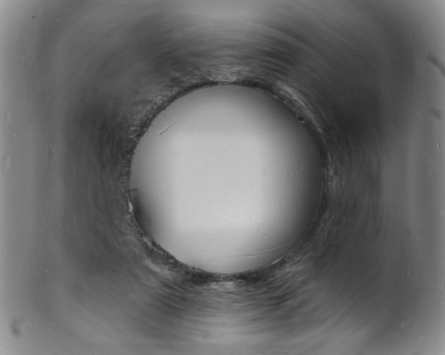 X0000101690307200807101214
