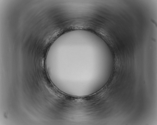 X0000101690310200807101214