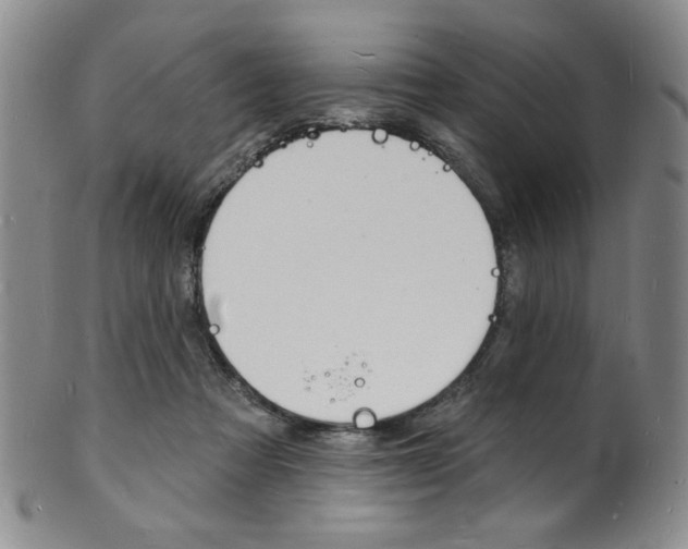 X0000101690313200807101214