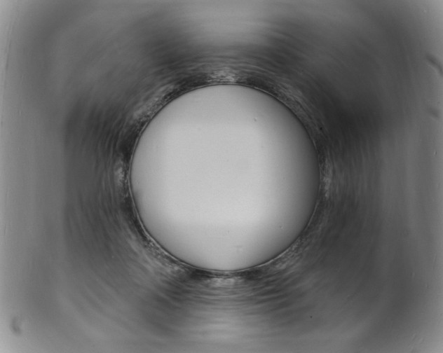 X0000101690314200807101214