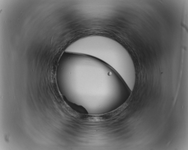 X0000101690316200807101214