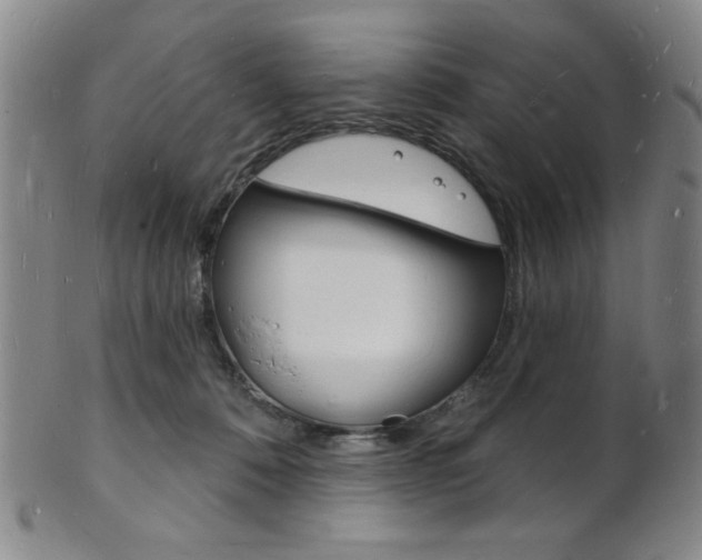 X0000101690320200807101214