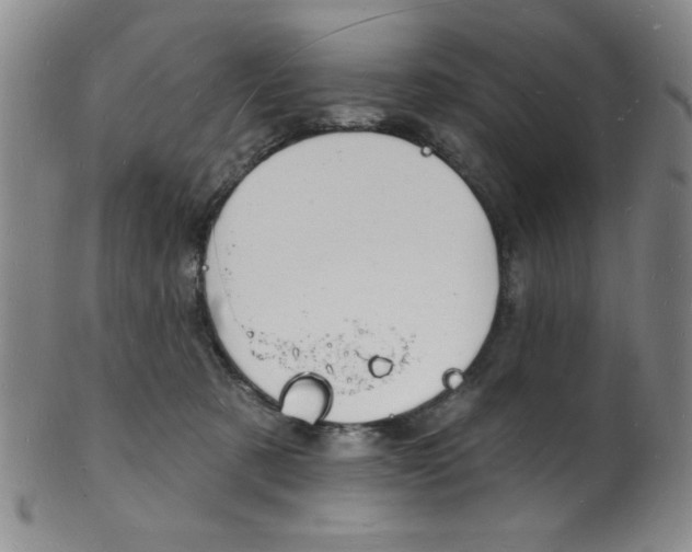 X0000101690321200807101214
