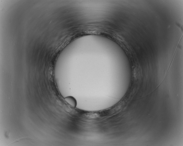 X0000101690322200807101214