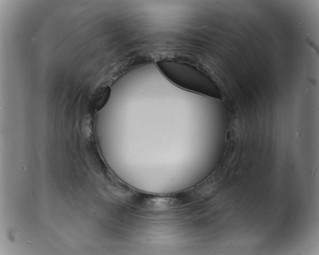 X0000101690323200807101214