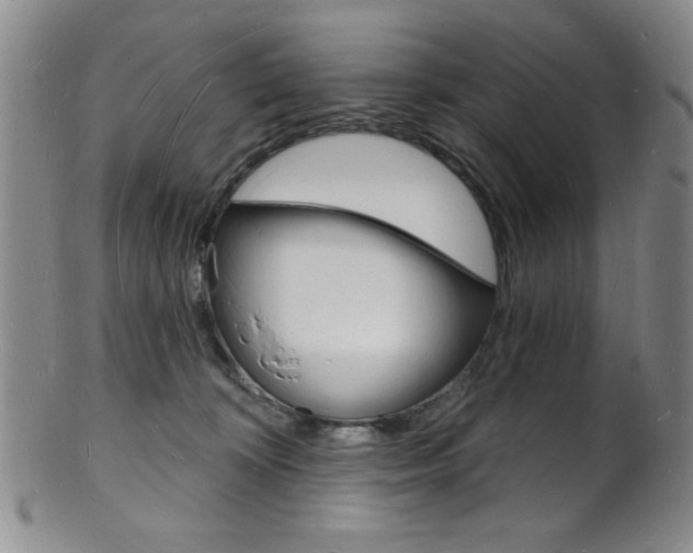 X0000101690324200807101214