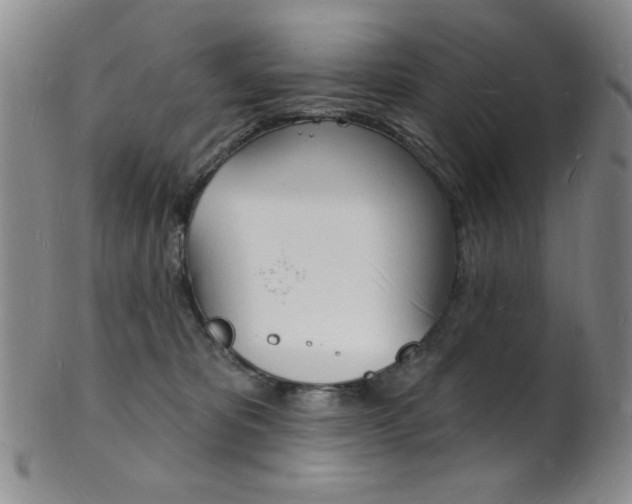 X0000101690325200807101214