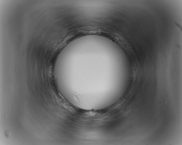 X0000101690326200807101214