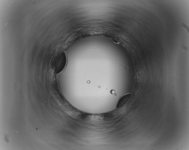 X0000101690327200807101214
