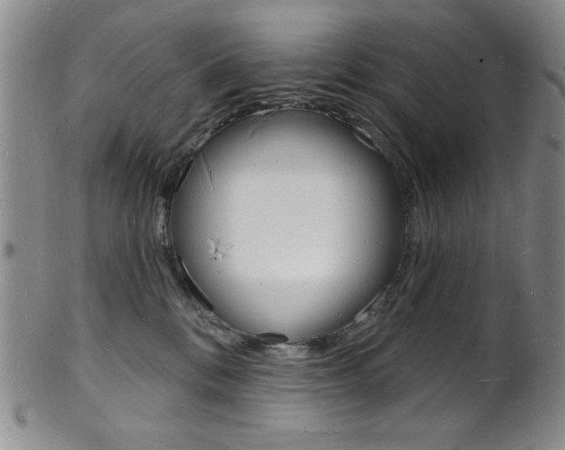 X0000101690328200807101214
