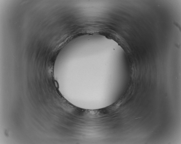 X0000101690329200807101214