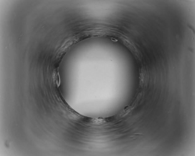 X0000101690333200807101214