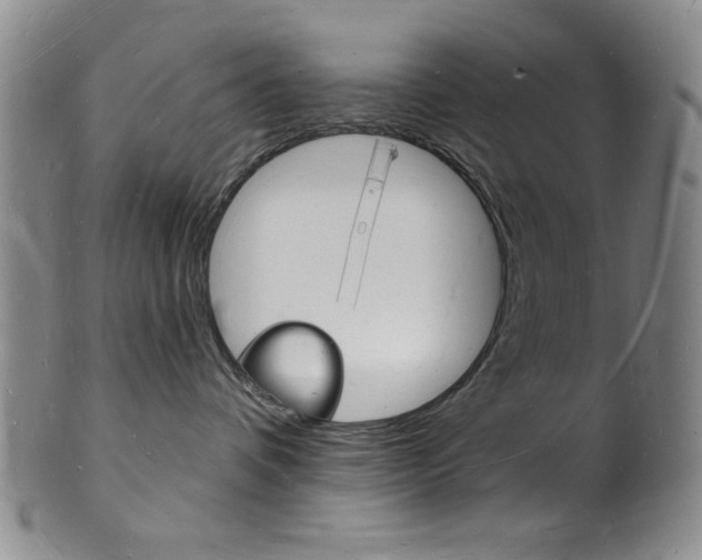 X0000101690336200807101214