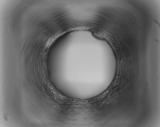 X0000101690337200807101213