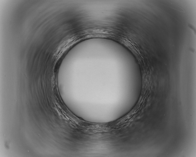 X0000101690338200807101213