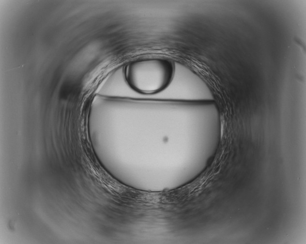 X0000101690339200807101213