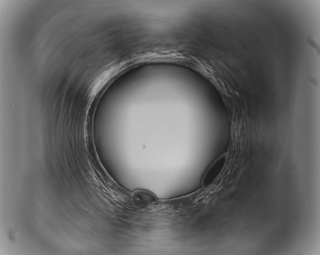 X0000101690340200807101213