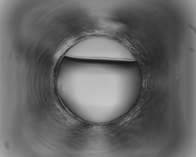 X0000101690341200807101213