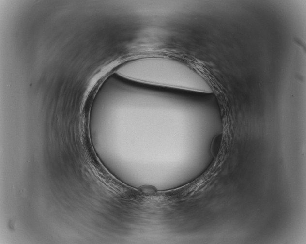 X0000101690342200807101213