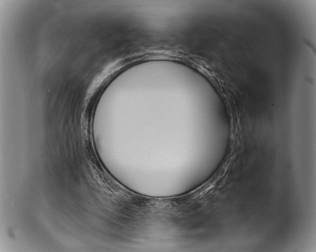 X0000101690343200807101213
