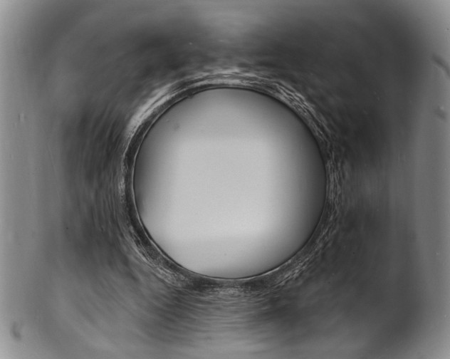 X0000101690344200807101213