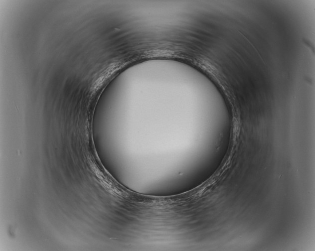 X0000101690345200807101213