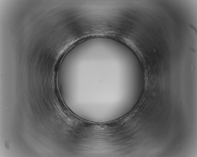 X0000101690346200807101213