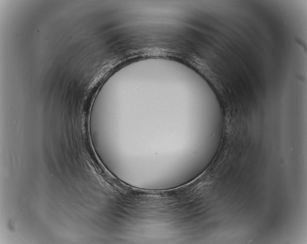X0000101690347200807101213