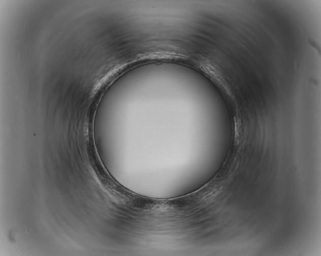 X0000101690348200807101213