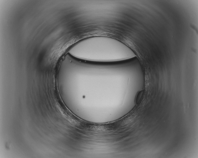 X0000101690349200807101213