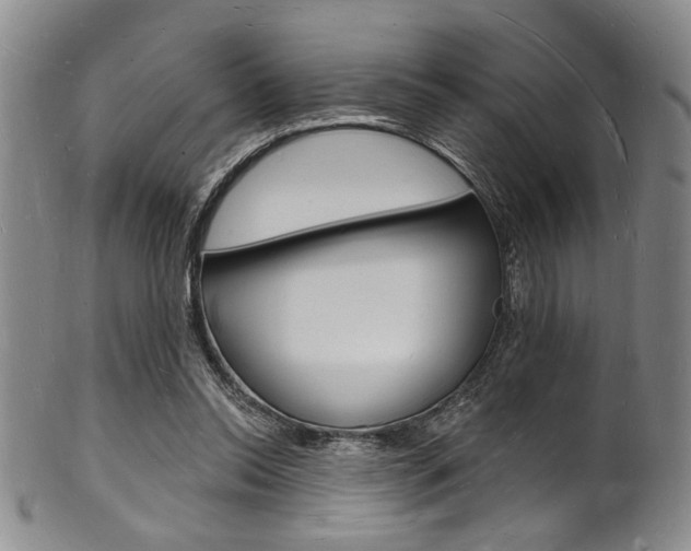 X0000101690350200807101213