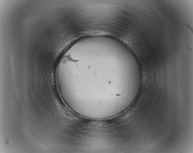 X0000101690351200807101213