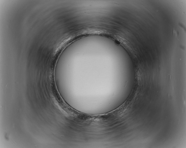 X0000101690352200807101213