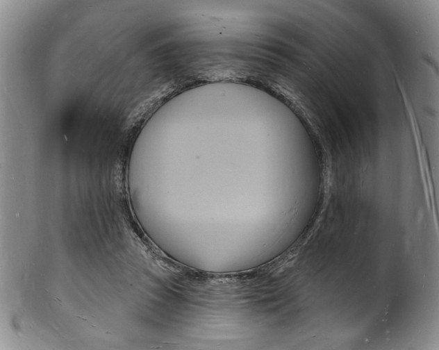 X0000101690353200807101213