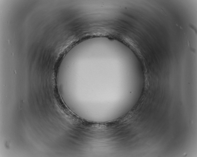 X0000101690354200807101213