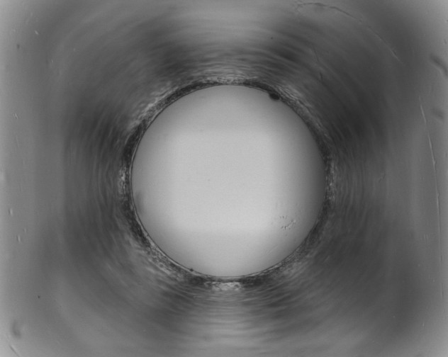 X0000101690355200807101213