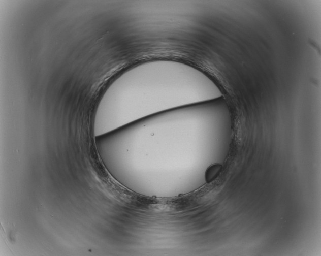X0000101690356200807101213
