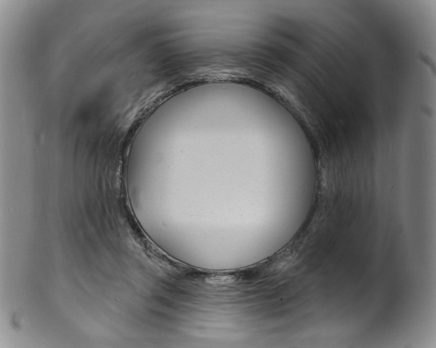 X0000101690357200807101213